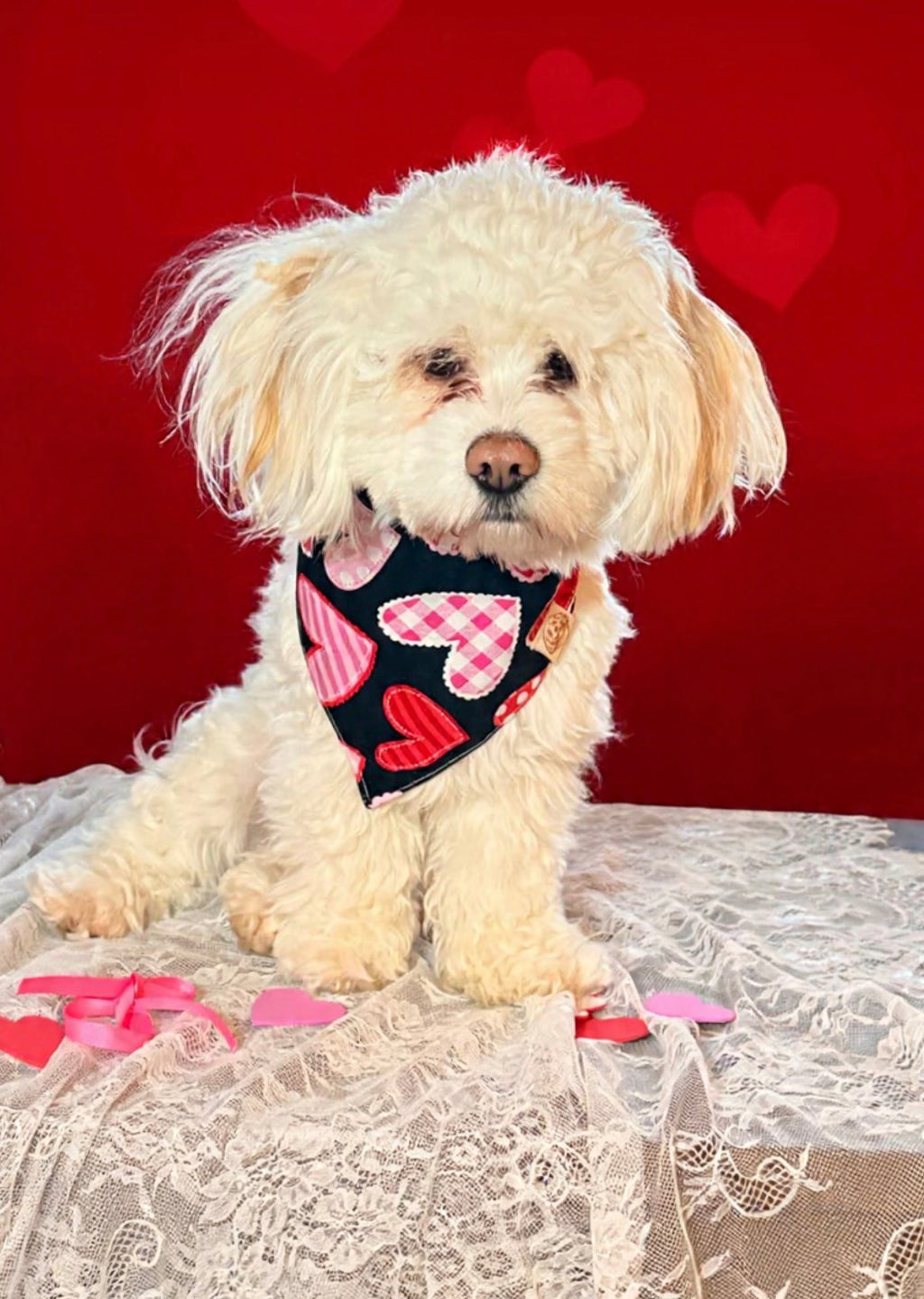 Valentine Collection