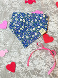 Coquette Blue